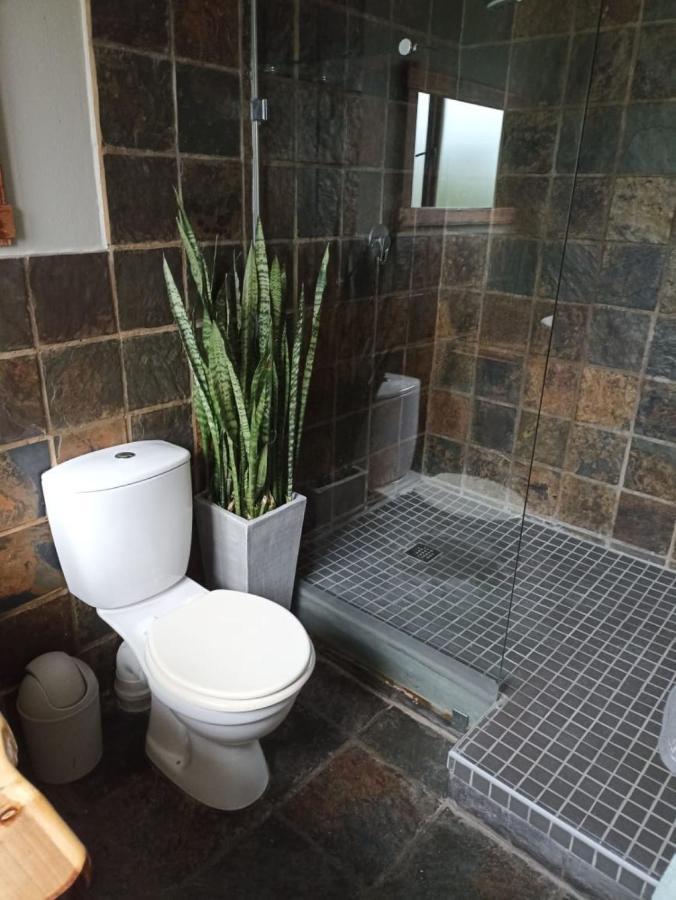 Fijnbos Guesthouse Knysna Dış mekan fotoğraf